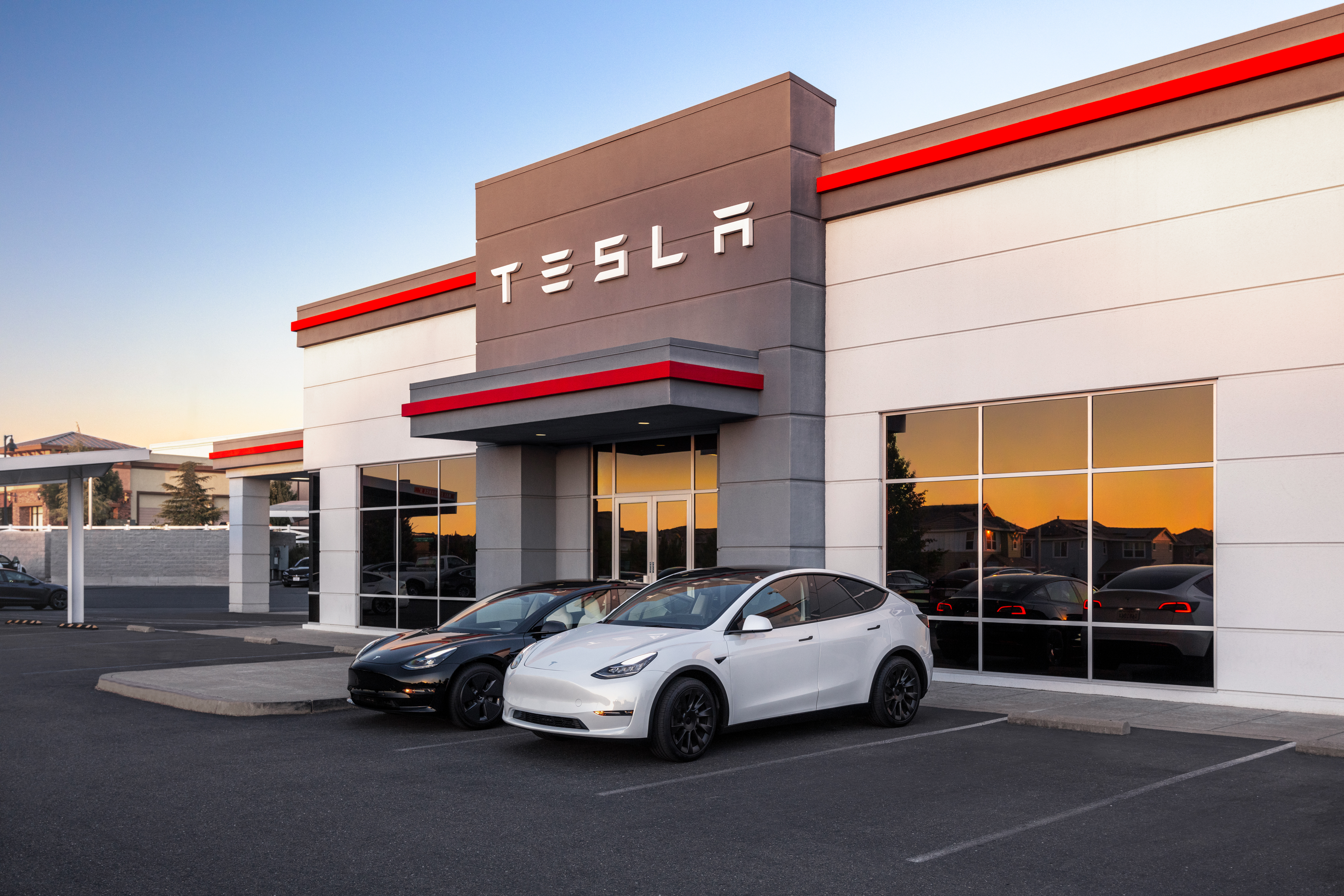 Tesla Service